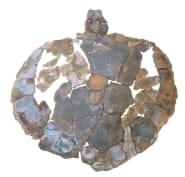 Grants Awarded 3 turtle sm